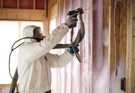 Spray-on insulation a highway for termites, experts warn